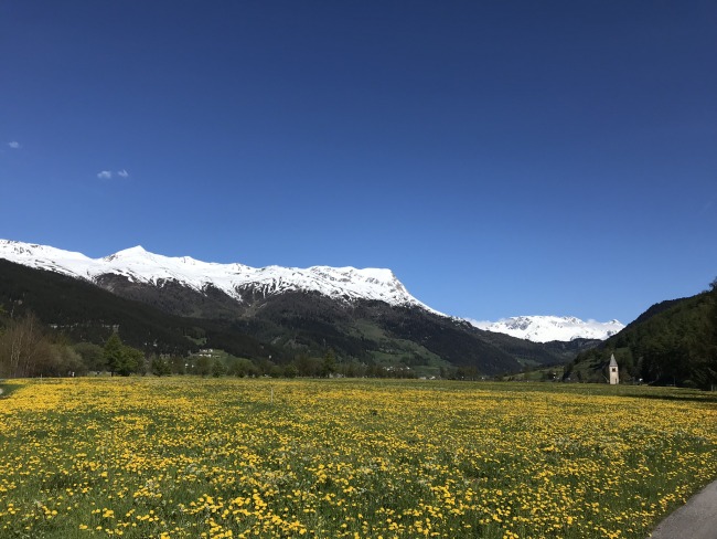 Frühlingsimpression